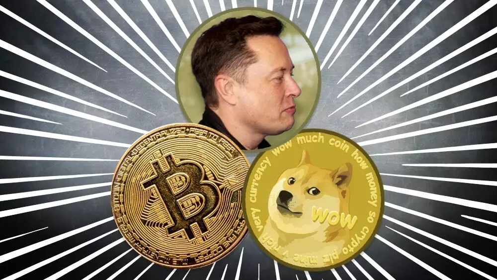 Dogecoin Musk