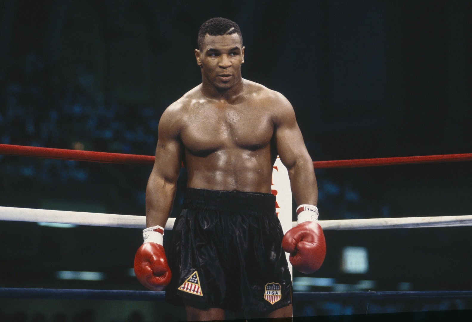 Career_and_Championship_Triumphs_of_Mike_Tyson.jpg