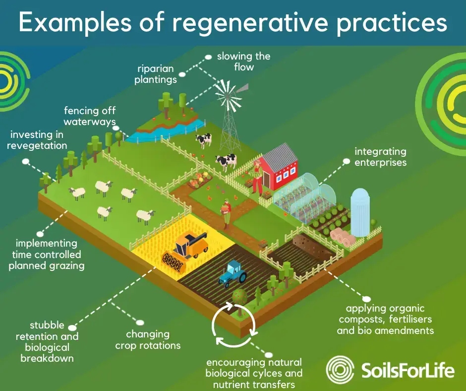 Regenerative Organic Agriculture Program - ROAP 