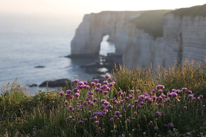 What Are the Must-See Attractions on D-Day Beaches?