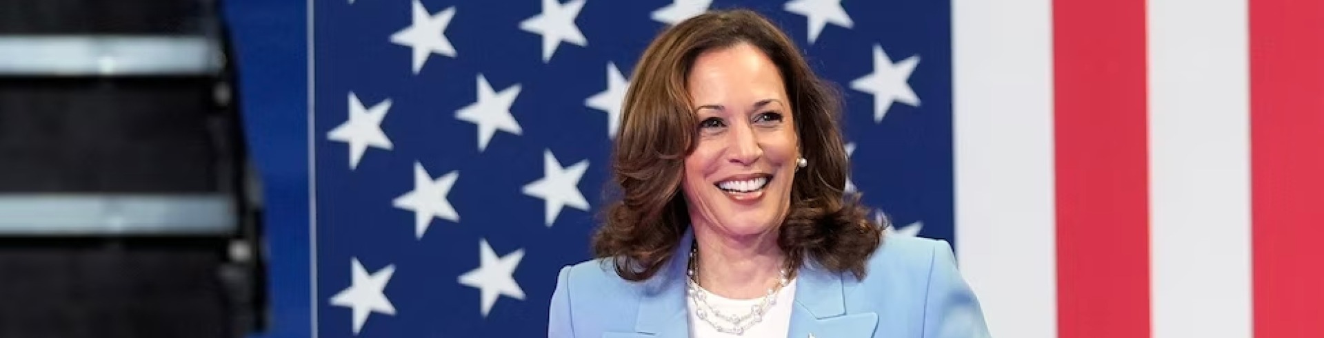 Why Kamala Harris Will Not Bring Prices Down: Her Plan Needs Inflation